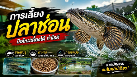 ผลงานผู้เข้าอบรม AI for Social Impact ครั้งที่ 1 ลำดับที่ 14