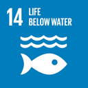 ไอคอน SDG 14: Life Below Water